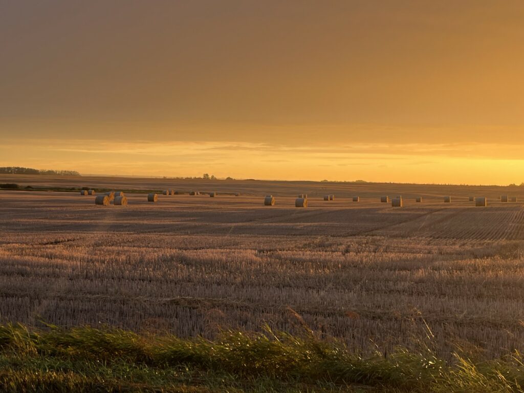 Ten Brummelhuis Bales